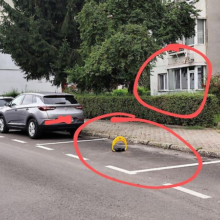 Apartamentul Alfa سلانيك مولدوفا المظهر الخارجي الصورة