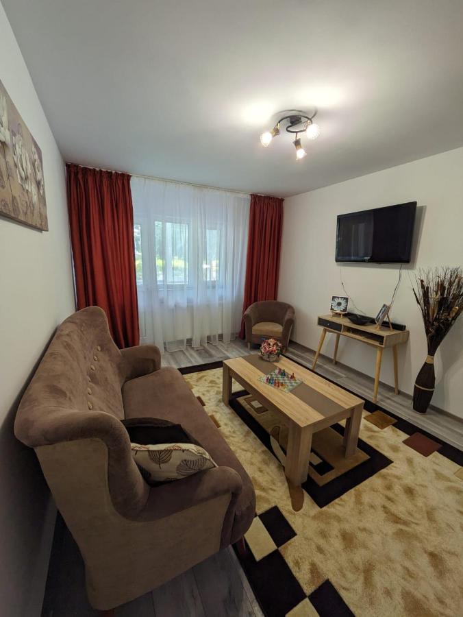 Apartamentul Alfa سلانيك مولدوفا المظهر الخارجي الصورة