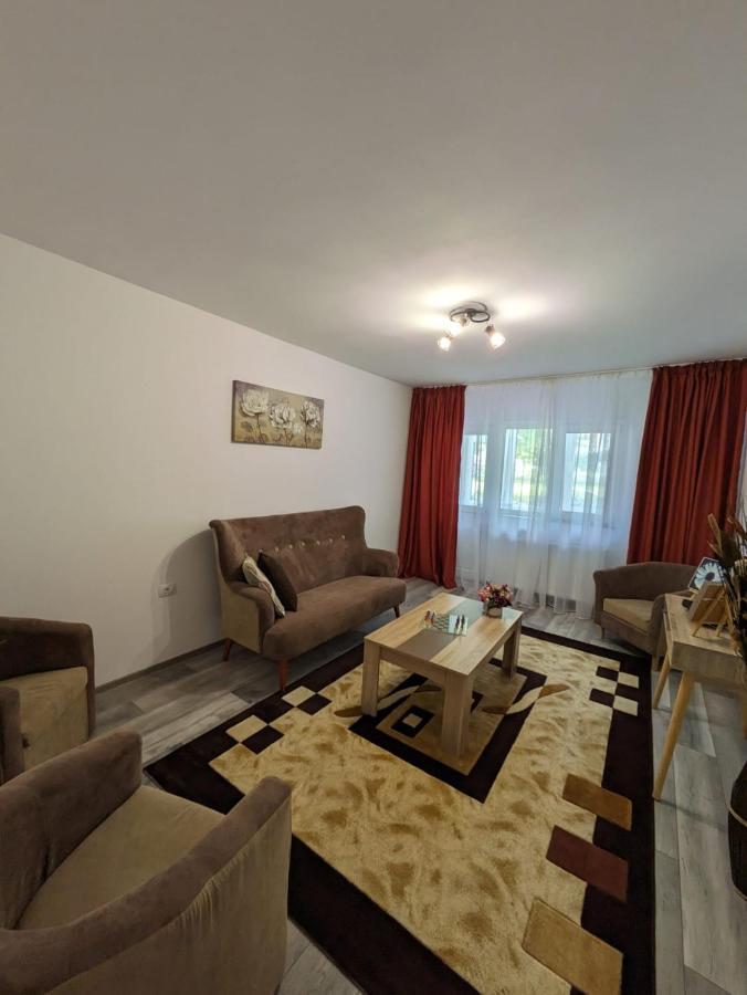 Apartamentul Alfa سلانيك مولدوفا المظهر الخارجي الصورة