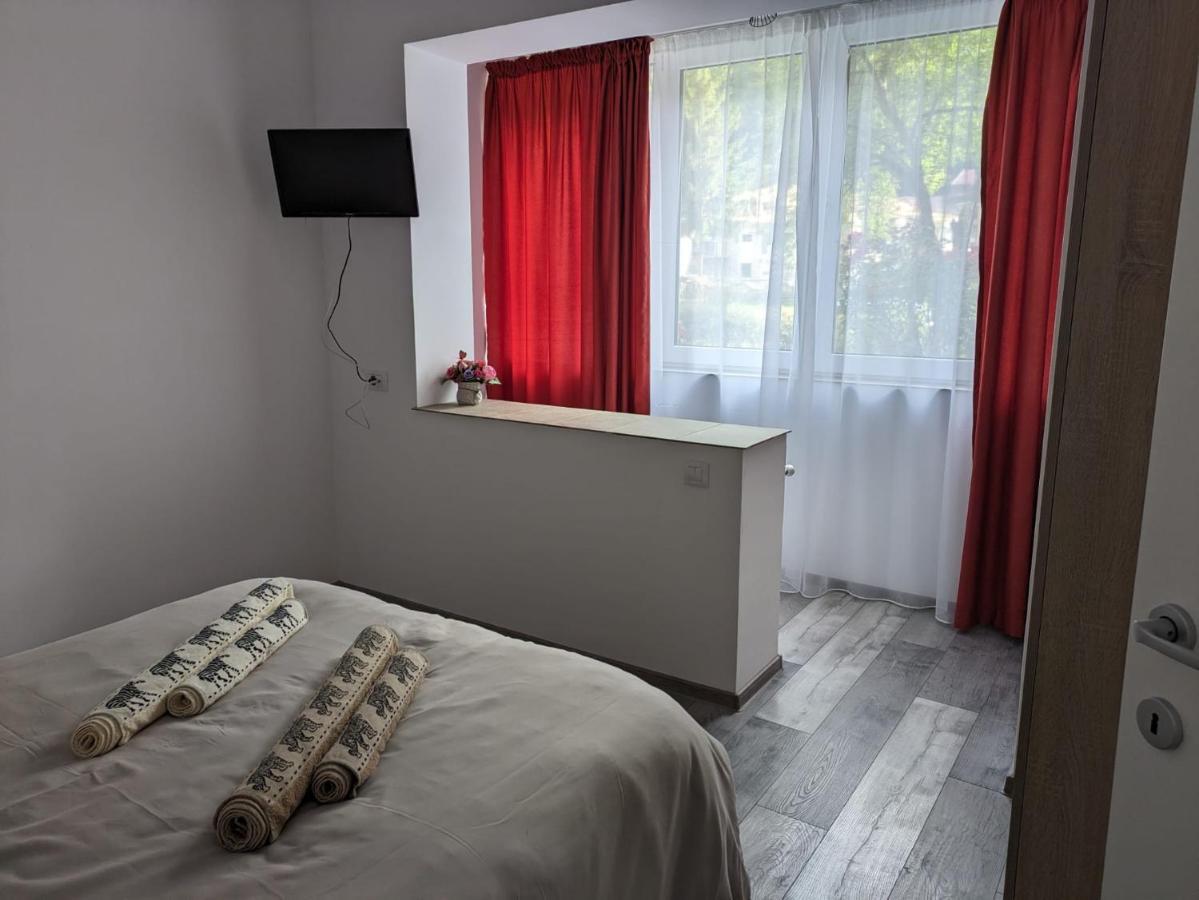 Apartamentul Alfa سلانيك مولدوفا المظهر الخارجي الصورة