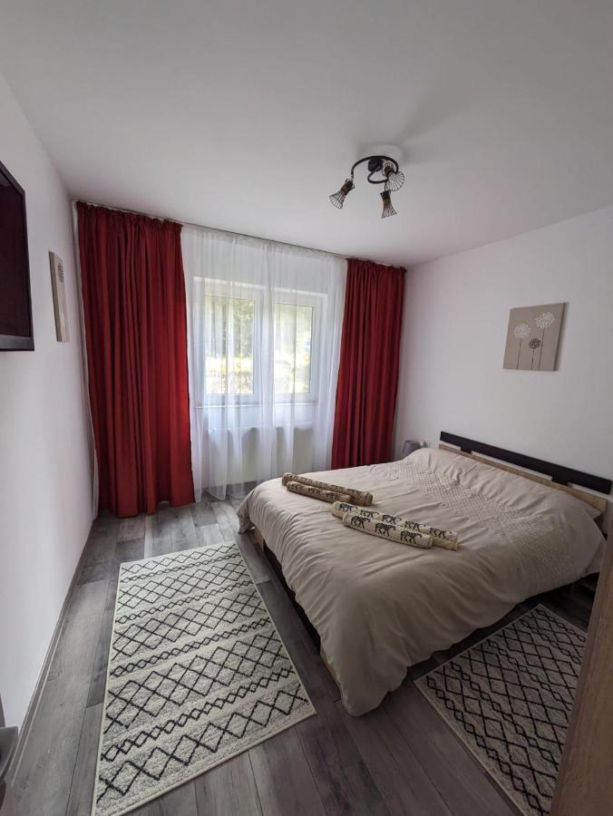 Apartamentul Alfa سلانيك مولدوفا المظهر الخارجي الصورة