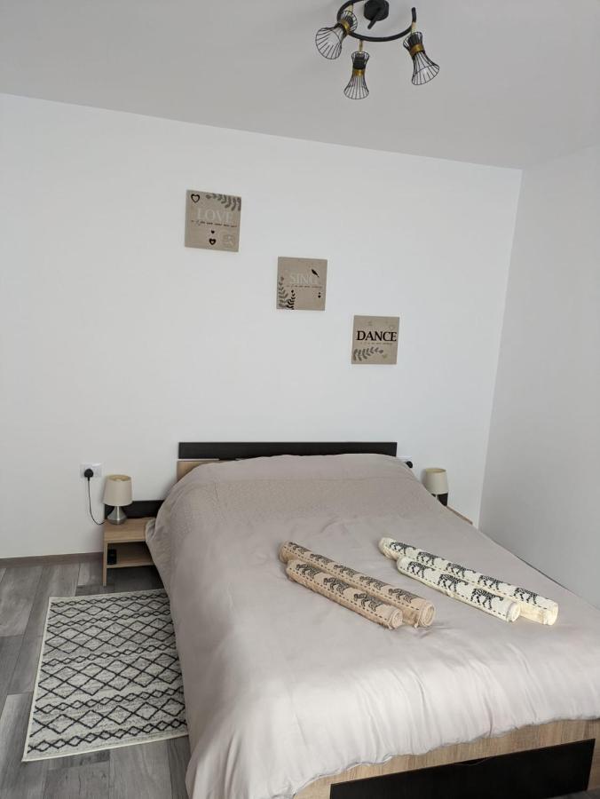 Apartamentul Alfa سلانيك مولدوفا المظهر الخارجي الصورة